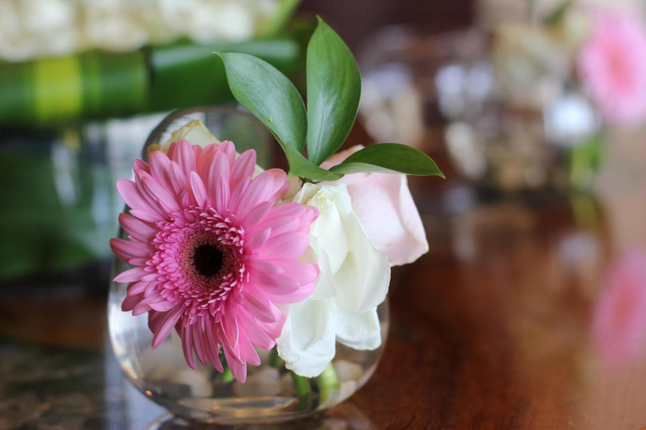 Somewhere Hotel Al Ahsa Al-Hofuf Esterno foto Gerbera and rose